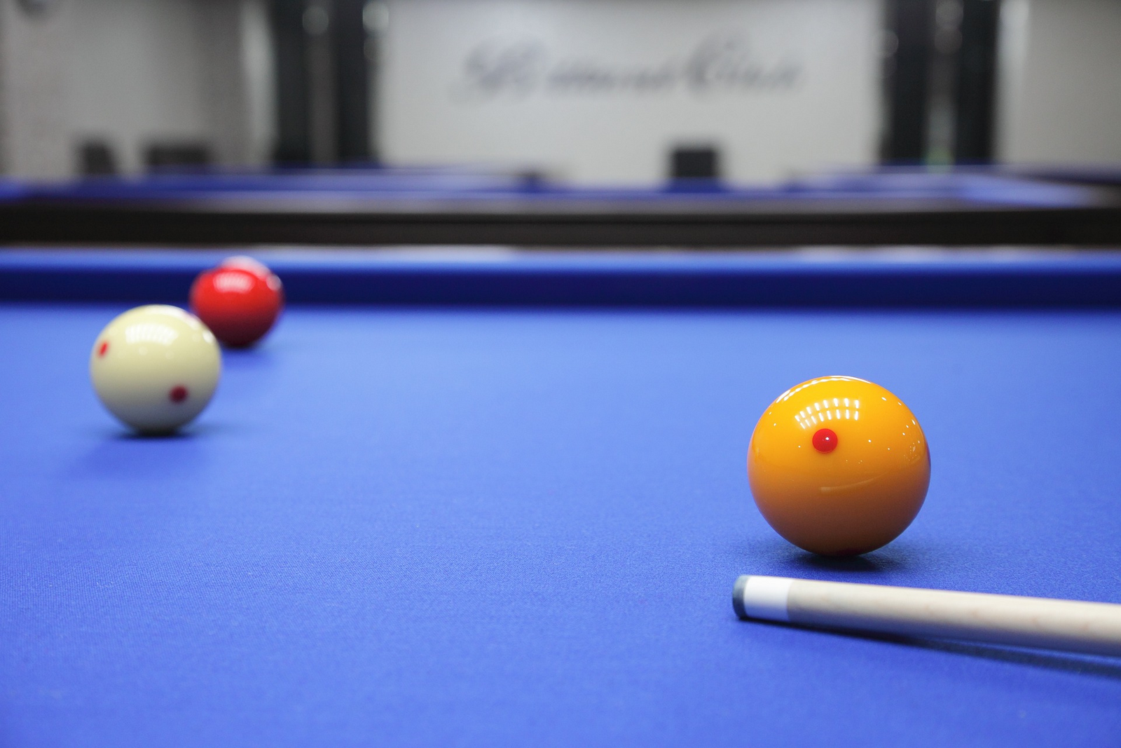 Soirée Billard Entreprises Jeu de Poule au Gibier 