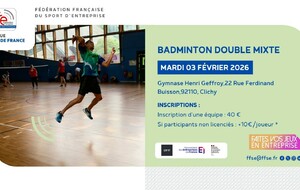 FFSE Badminton