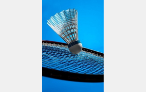 Badminton
