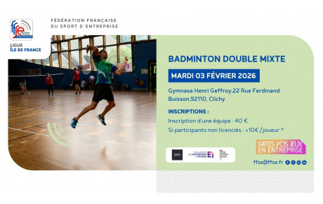 FFSE Badminton